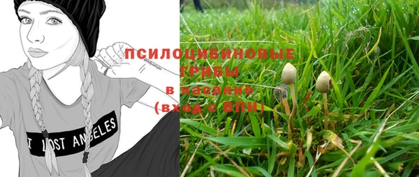 прущая мука Белокуриха