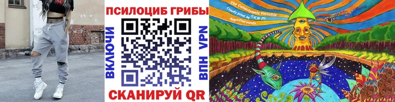 Псилоцибиновые грибы Psilocybe Кинешма