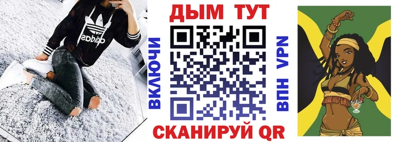 Каннабис план  как найти закладки  Кинешма 